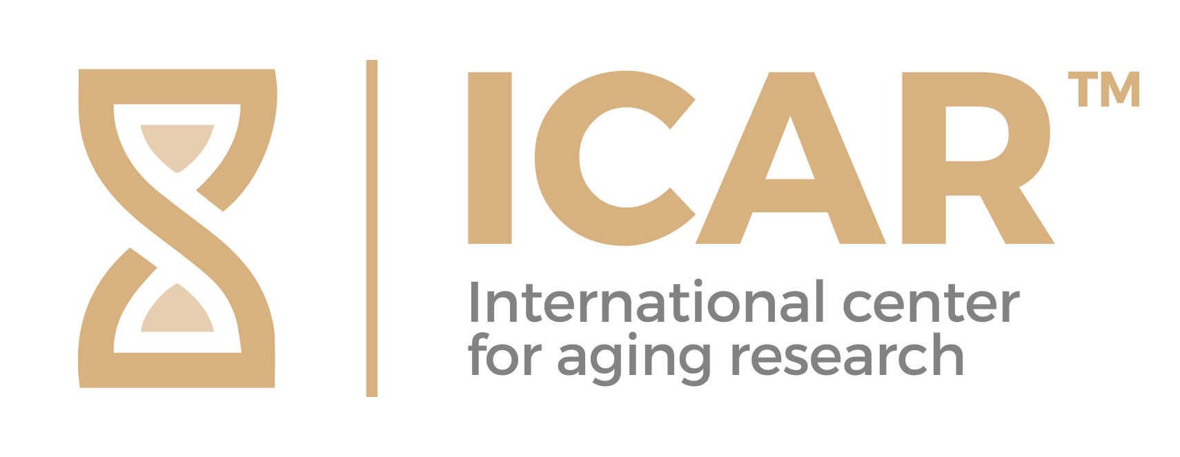 Logo de ICAR. International Center for Aging Research